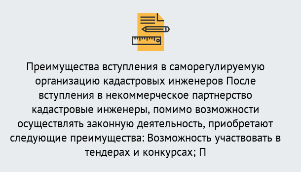 Почему нужно обратиться к нам? Саянск Что дает допуск СРО кадастровых инженеров?