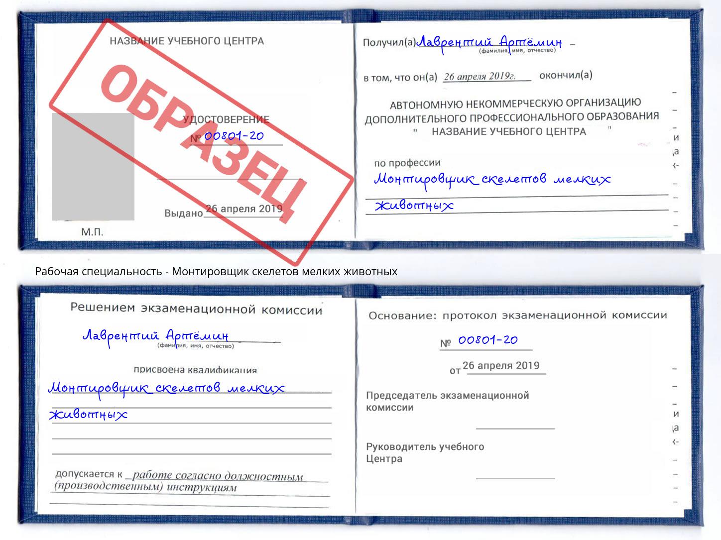 Монтировщик скелетов мелких животных Саянск