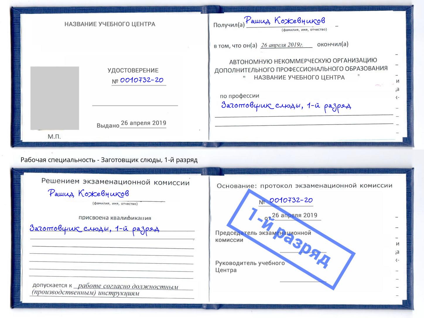 корочка 1-й разряд Заготовщик слюды Саянск