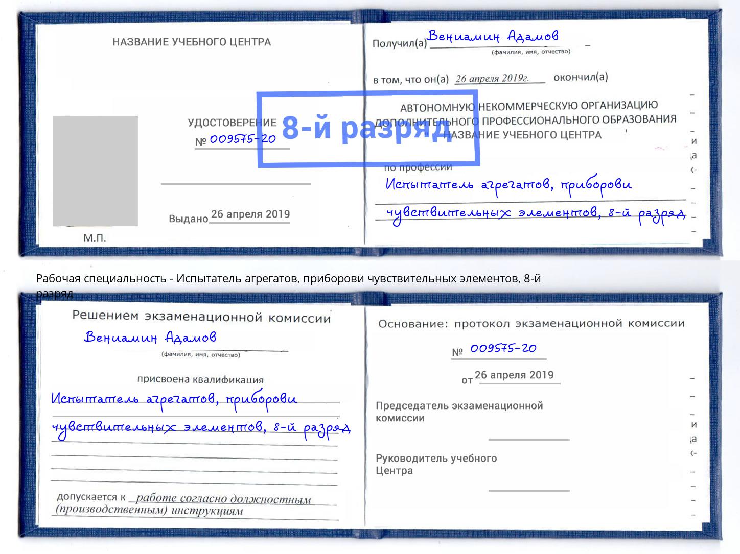 корочка 8-й разряд Испытатель агрегатов, приборови чувствительных элементов Саянск
